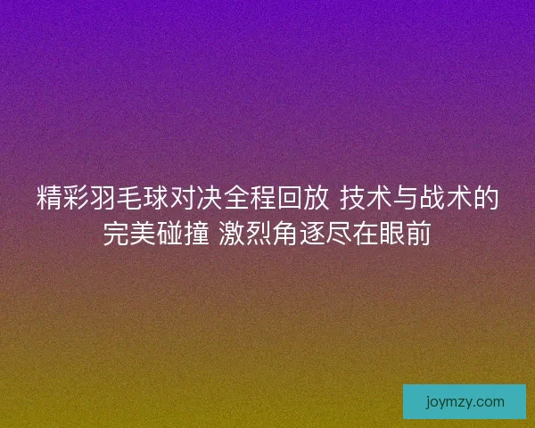 精彩羽毛球对决全程回放 技术与战术的完美碰撞 激烈角逐尽在眼前